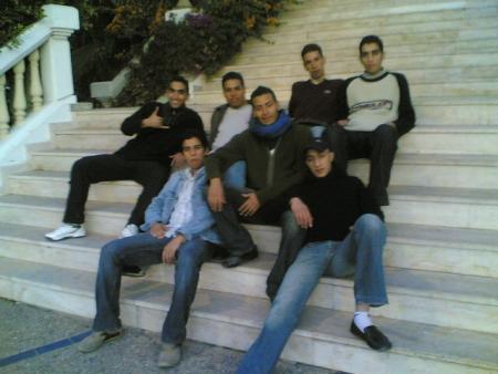 toujours les lions de ma classe