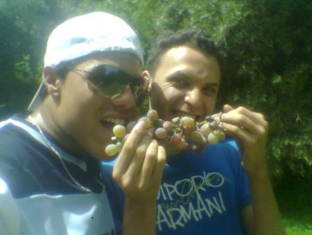 my & taha